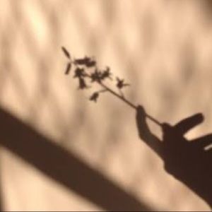 Meet your Posher, Maddy